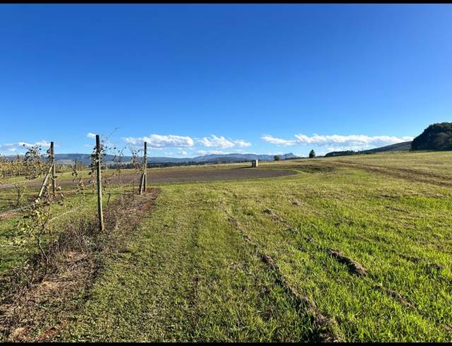 LAND FOR SALE IN DARGLE